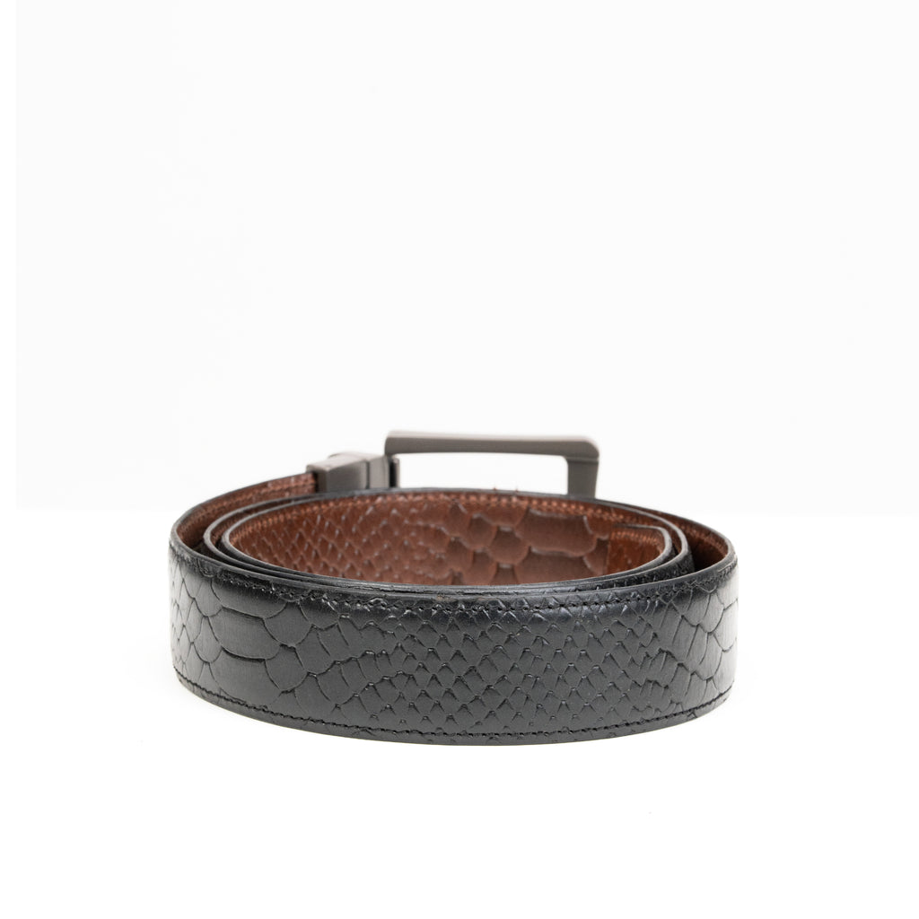 Black & Brown Formal Belt